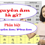 nguyen-am-la-gi-cach-phan-biet-nguyen-am-va-phu-am