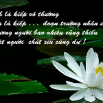 vo-thuong-la-gi