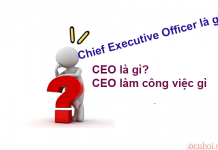 Chief Executive Officer là gì