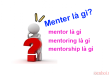 menter là gì - mentor là gì