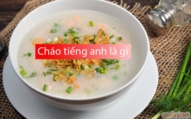 Cháo tiếng anh là gì (congee & porridge) ✅Tên các loại cháo