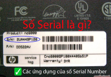 Số Serial là gì